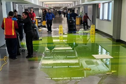 Las autoridades del Aeropuerto de Miami explicaron en redes sociales qué era ese líquido verde