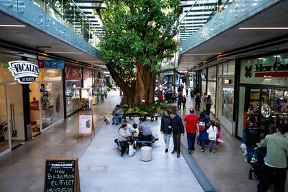 Las diferencias y similitudes entre los centros comerciales y los shoppings que definen las nuevas experiencias de consumo