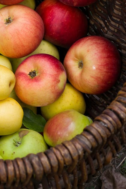 Las peras y manzanas, además de estar muy sabrosas, se pueden usar en esta época para dulces y tortas