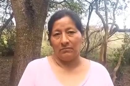 Laudelina Peña, tía de Loan, el niño de cinco años desaparecido