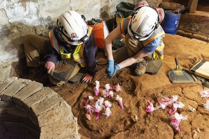 Los arqueólogos excavaron cinco pozos de almacenamiento en la bodega de la casa del primer presidente de Estados Unidos, George Washington