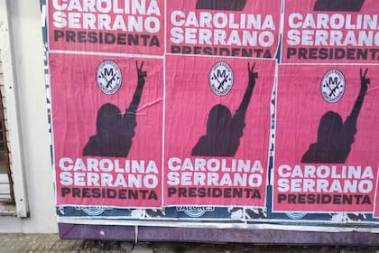 Los carteles de "Carolina Serrano presidenta"