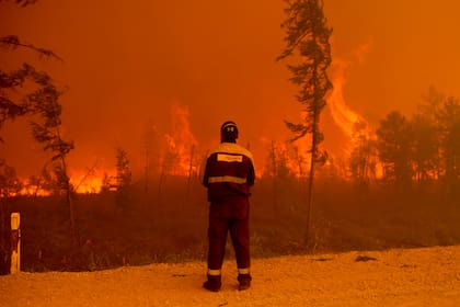 Los incendios azotan desde hace semanas a Siberia, en Rusia (AP Photo/Ivan Nikiforov)