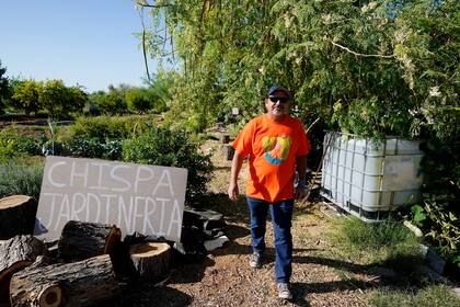 Masavi Perea, director del grupo Chispa Arizona, camina por un jardín en Phoenix, el 18 de mayo de 2022. (AP Foto/Ross D. Franklin)
