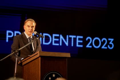 Miguel Ángel Pichetto lanzó su precandidatura presidencial desde el Encuentro Republicano Federal