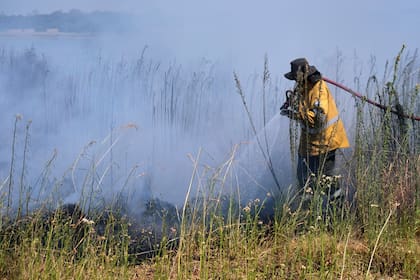 Miles de hectáreas fueron arrasadas por el fuego