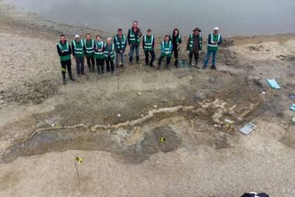 Paleontólogos que trabajan en el esqueleto de ictiosaurio encontrado en Rutland Water
