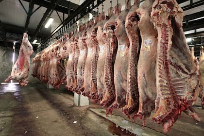 El Gobierno busca mantener el precio de la carne