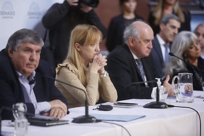 Los senadores José Mayans, Anabel Fernández Sagasti y Oscar Parrilli en la Cámara alta