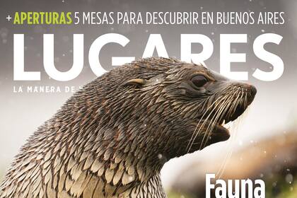 Revista Lugares 339. Julio 2024.