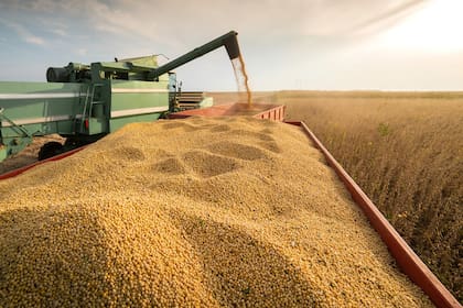 Según la Bolsa de Cereales de Buenos Aires, se comercializaron 21,6 millones de tonelada de soja