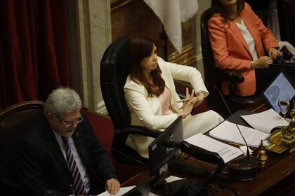 Sesión ordinaria en el Senado, Cristina Kirchner