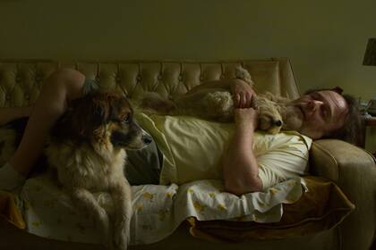 Siete perros es un sensible retrato sobre la soledad y la empatía, con un gran Luis Machín