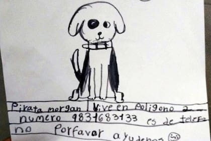 Su nieta hizo un cartel con la imagen del perro desaparecido