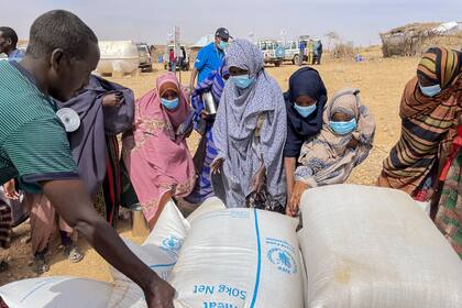 Suministros de trigo distribuidos durante una visita del director regional del Programa Mundial de Alimentos (PMA), Michael Dunford, a un campamento para desplazados internos en Adadle, en la región somalí de Etiopía, el sábado 22 de enero de 2022. (Claire Nevill/WFP via AP)