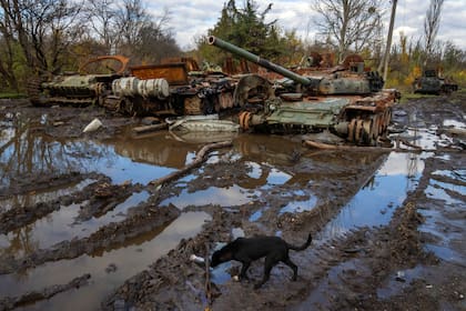 Tanques rusos dañados en combates recientes se ven cerca del poblado recién recuperado de Kamianka, en la región de Járkiv, Ucrania, el domingo 30 de octubre de 2022. (AP Foto/Efrem Lukatsky)