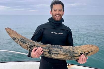 Un hombre encontró en el fondo del mar los restos de una criatura prehistórica gigante
