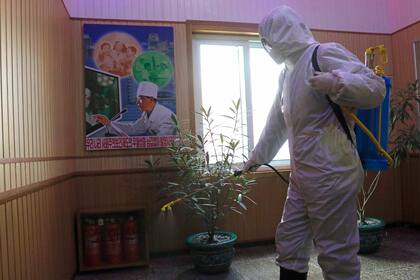 Un miembro del Centro de Sanidad y antiepidémico del distrito de Phyongchon, desinfecta un edificio el 5 de febrero de 2021, en Pyongyang, Corea del Norte. (AP Foto/Jon Chol Jin, Archivo)