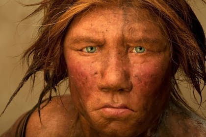 Un particular hallazgo permitió conocer extraordinarios detalles sobre el desarollo de los neandertales en sus primeros años de vida