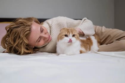 Una app permite conocer qué dice tu gato con los maullidos (Foto ilustrativa: Pexels)