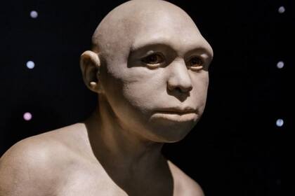 Una escultura que representa al Homo antecessor