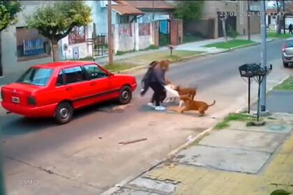Una mujer fue sorprendida y atacada por tres perros pitbull mientras caminaba por las calles de San Andrés, en el partido bonaerense de San Martín