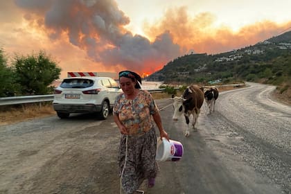 Una mujer se va con sus animales mientras a lo lejos avanza un enorme incendio en la villa Cokertme, cerca de Bodrum, Turquía, el 2 de agosto de 2021. (AP Foto/Mehmet Guzel)