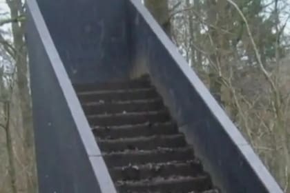Una tiktoker estadounidense contó qué tipo de explicaciones posibles existen detrás de las escaleras abandonadas en el medio del bosque