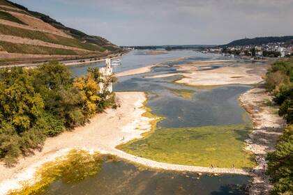 Una vista del Rin a su paso por la pequeña isla de Maeuseturm, en Alemania, con las aguas muy bajas