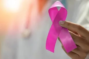 Qué se debe tener en cuenta para detectar a tiempo el cáncer de mama - LA  NACION